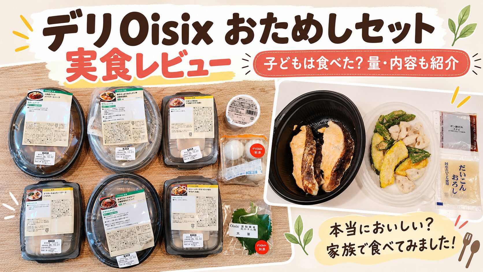 デリOisixおためしセット実食レビュー